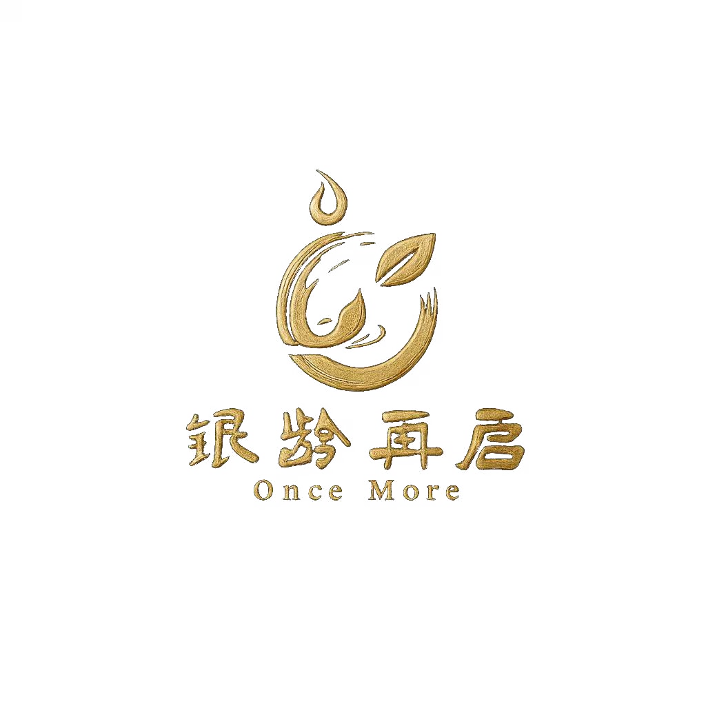 银龄再启科技